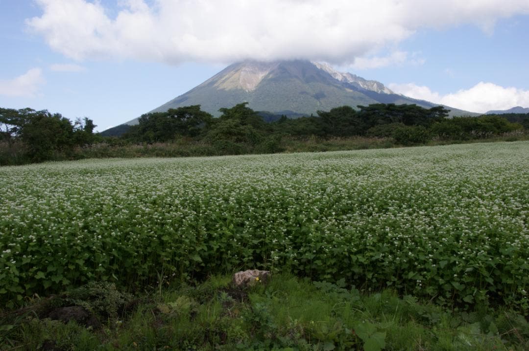 CANON キヤノン EF 28-135mm F3.5-5.6 IS USM