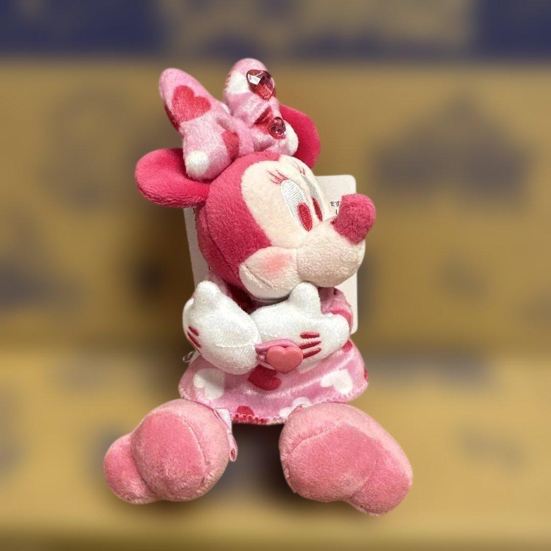 ディズニー パルパルーザ ミニーのファンダーランド 3点おまとめ 完売