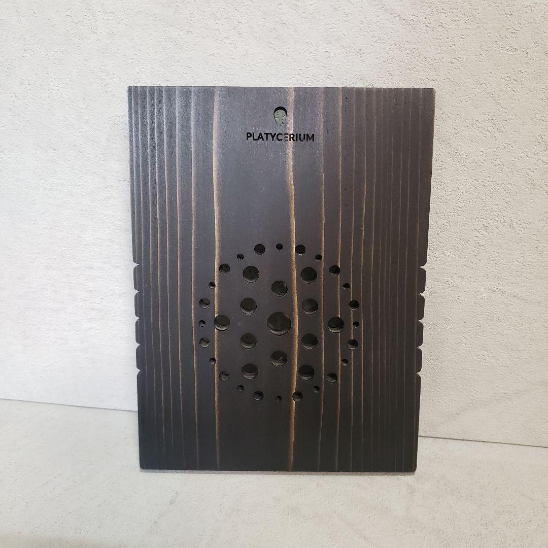 Teru様専用】着生板 長方形