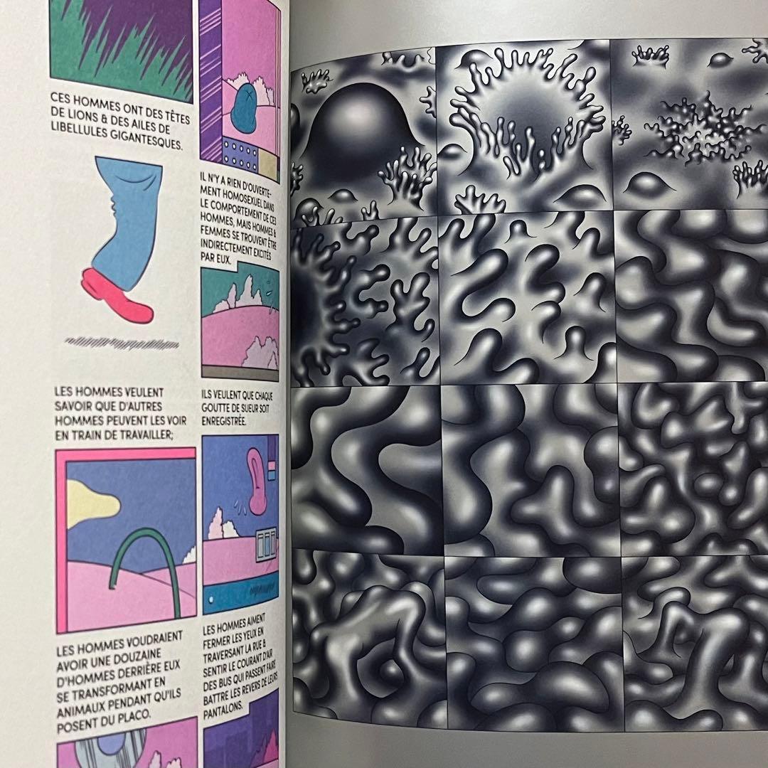 ☆超レア 洋書 限定本 Lagon#3 タイガー立石 ポップアート インテリア