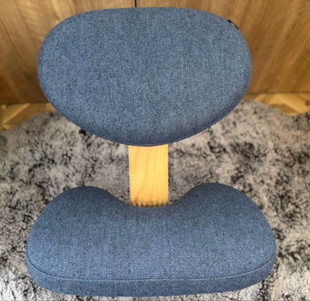 RYBO リボ社 balance easy 《複数購入割引あり》