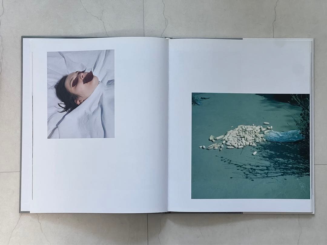 アート・デザイン・音楽 Viviane Sassen \"PARASOMNIA\"