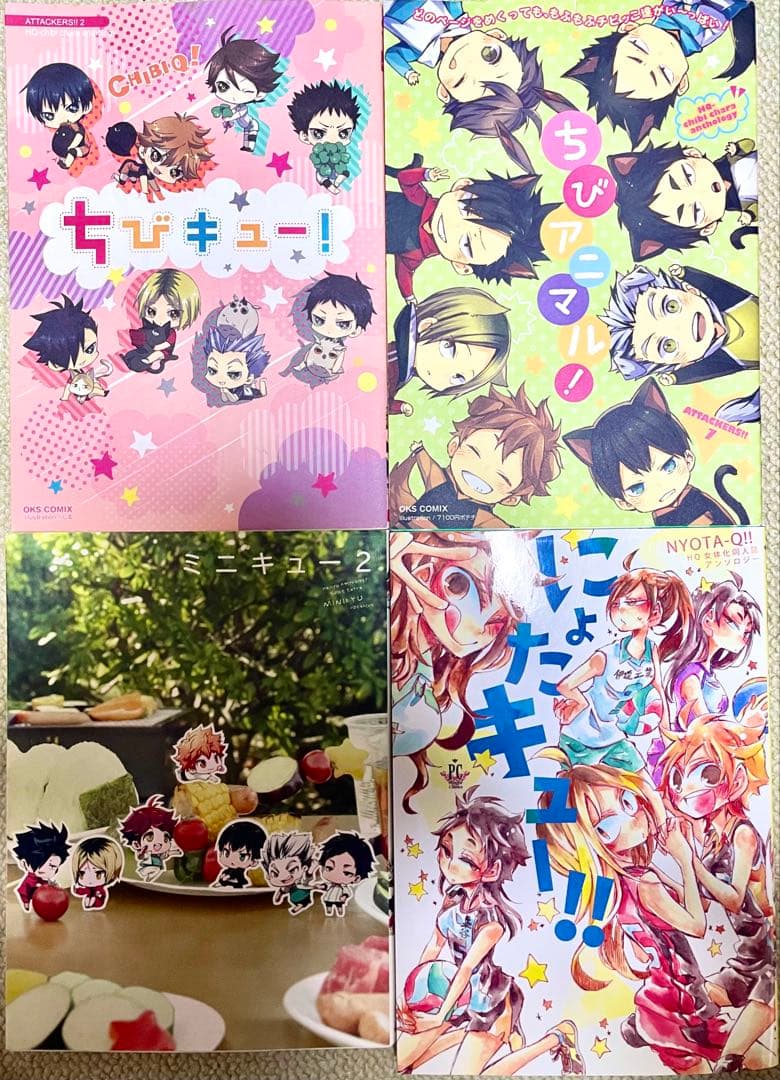 ハイキュー 非公式 商業アンソロジー 14冊セット - メルカリ