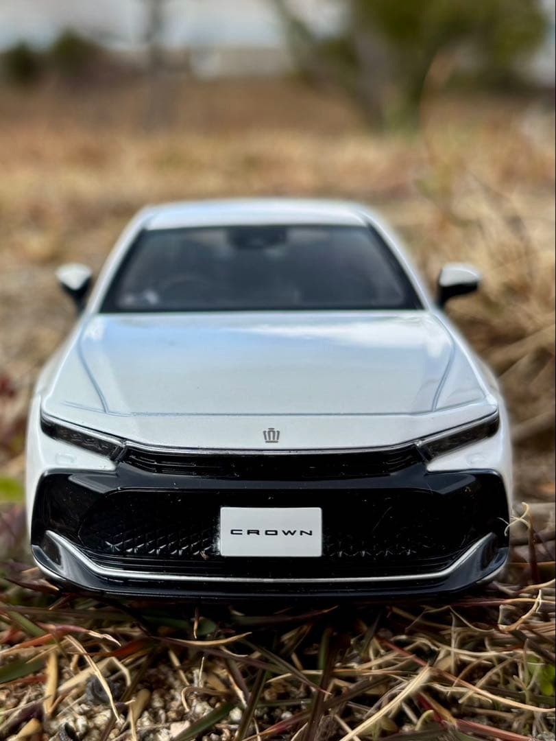 非売品 クラウン カラーサンプル 2台セット トヨタ クラウン カラー