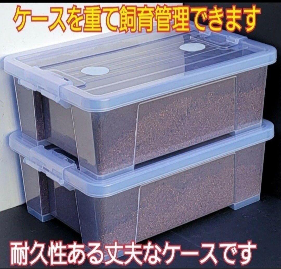 エメ様専門　10リットルケースマット入り　2個セット ダーツケース > ブランド【ワ行】 > ワンエイティ > One80(ワン