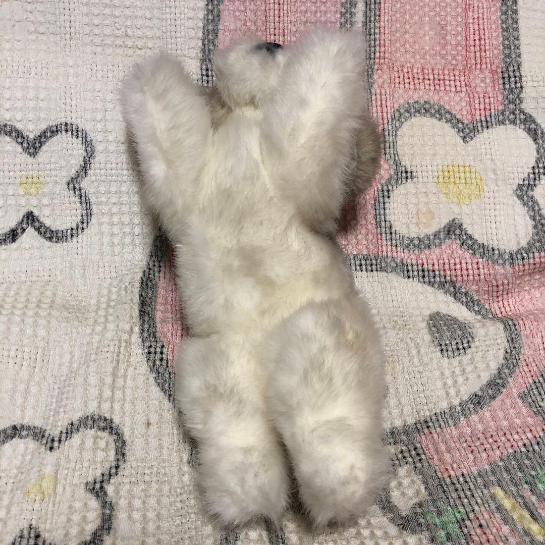 四季オリジナル ぬいぐるみ シーズー 犬 中古品 寝そべりポーズ - メルカリ