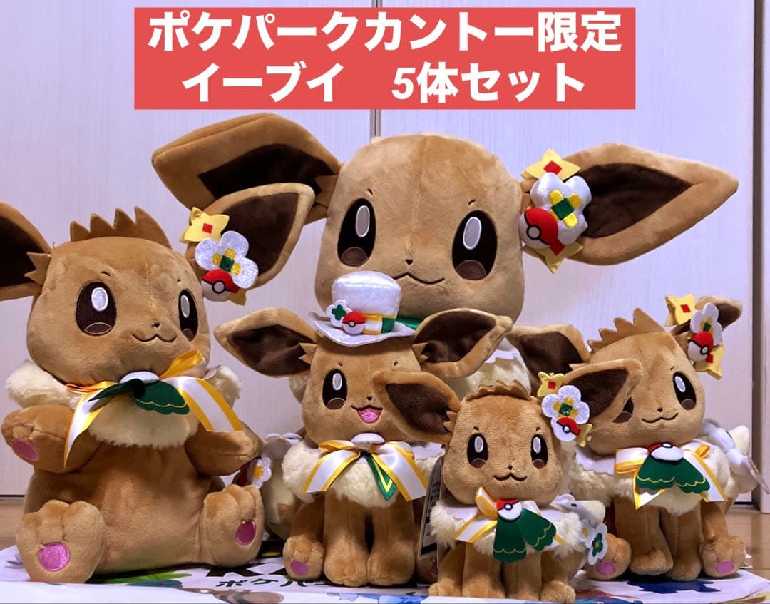 ポケパークカントー ショップ 限定 イーブイ ぬいぐるみ5体セット
