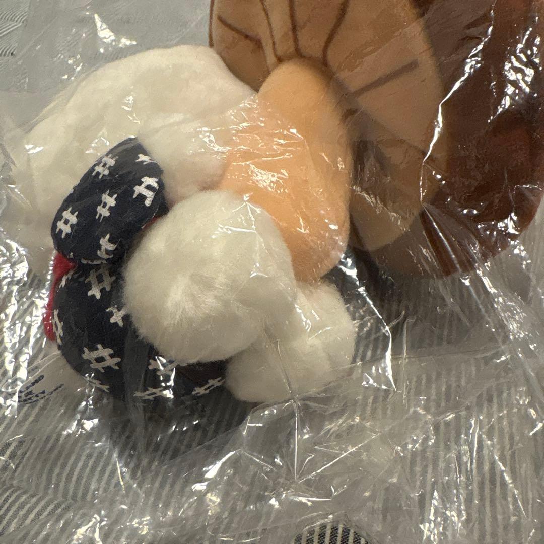 ご当地キティ 大分限定 しいたけ ぬいぐるみ ストラップ - メルカリ