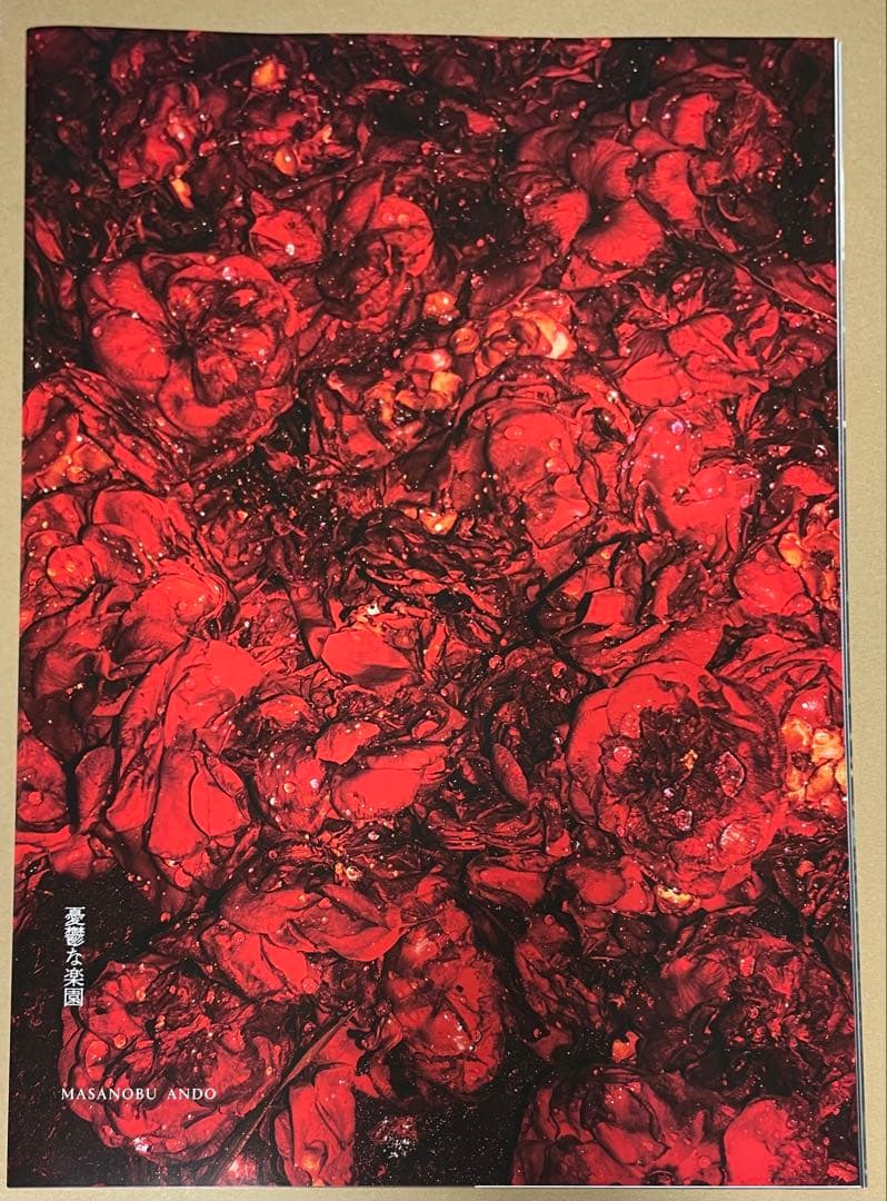 安藤政信 大判 ZINE 憂鬱な楽園 写真集