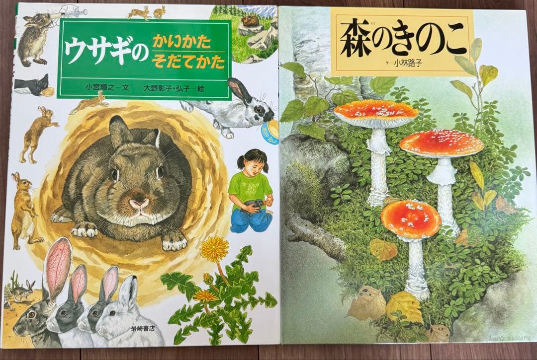 岩崎書店 絵本図鑑シリーズ 全31巻 - メルカリ