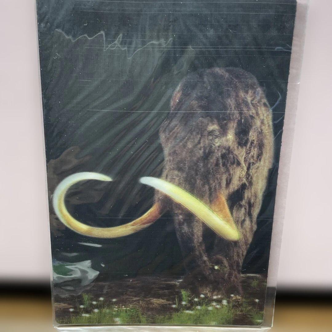 愛地球博 ポストカード8枚+マンモスのホログラムポストカード - メルカリ