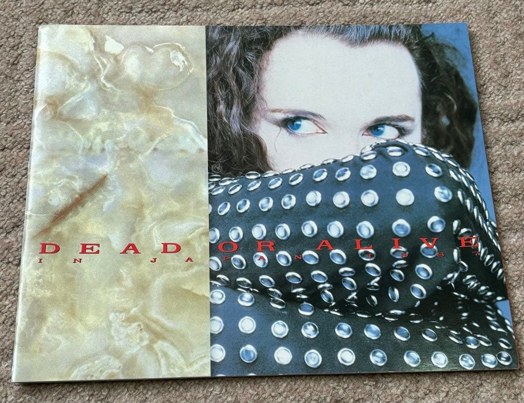 レア！デッド・オア・アライブ／Rip It Up 1987 ツアーパンフレット Dead or Alive: Rip It Up, 1987 / Rip It Up Live in Japan, 1988