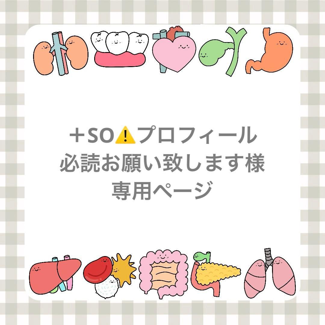 ＋SO⚠️プロフィール必読お願い致します様専用ページ - メルカリ