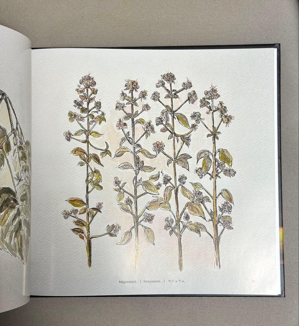 大阪万博 ポーランドパビリオン 非売品 花図鑑 ビジュアルブック