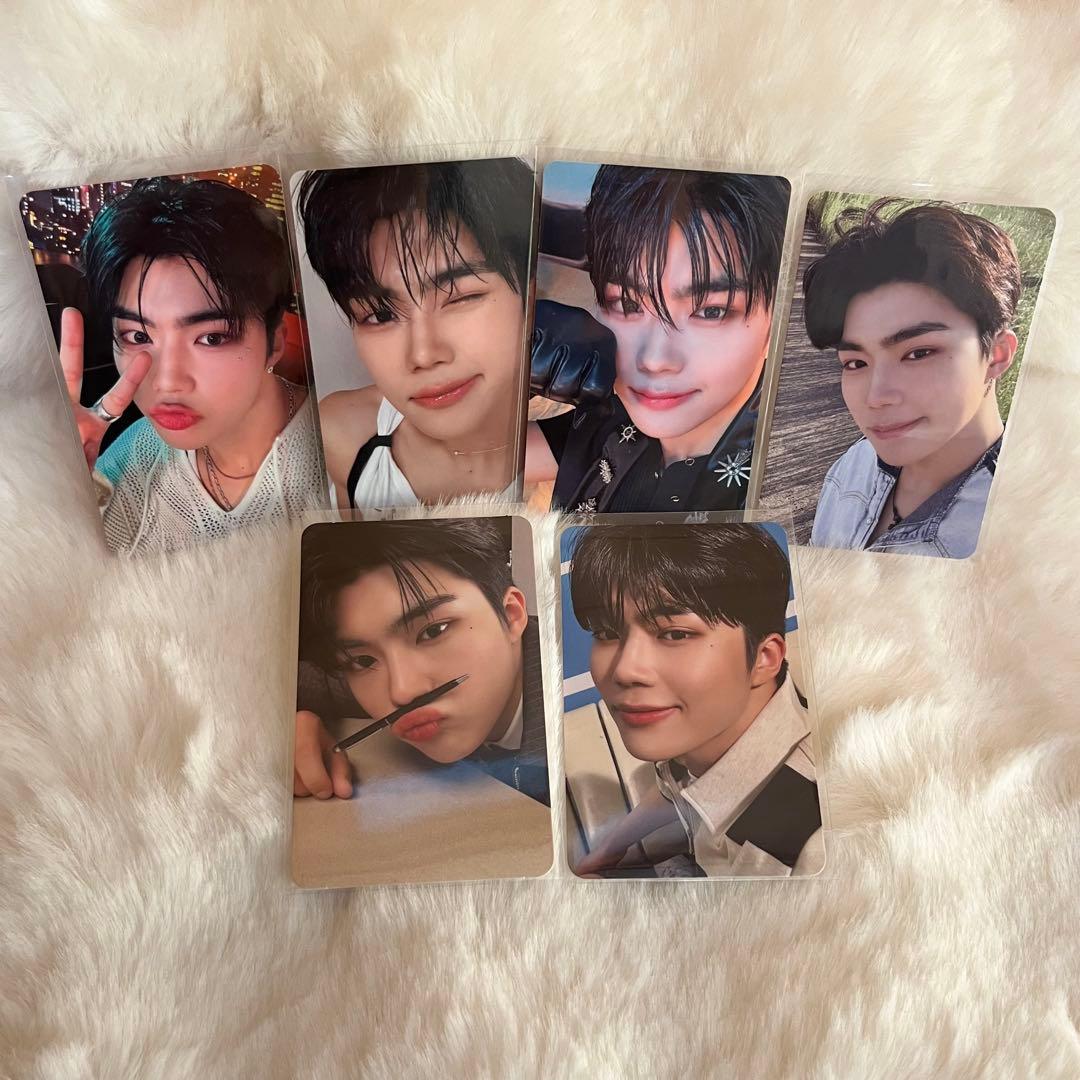 ゼベワン ゴヌク 封入トレカフルセット - メルカリ