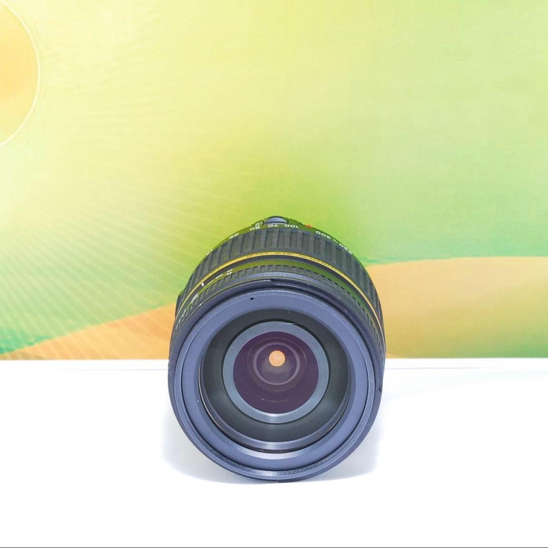 美品✨TAMRON AF 18-250mm F3.5-6.3 A18 Canon