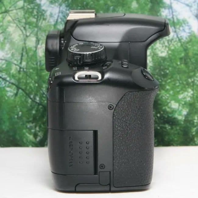 ❤シャッター数5563♪Canon Kiss X2♪スマホ転送OK&入門用❤ - メルカリ