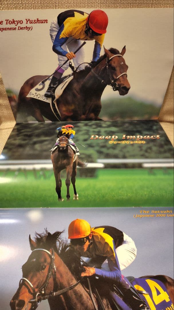 第66回 菊花賞 レーシングプログラム ディープインパクト - メルカリ