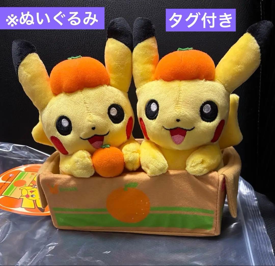 タグ付き】 ポケモンストア 愛媛 ペアピカチュウ えひめみかん