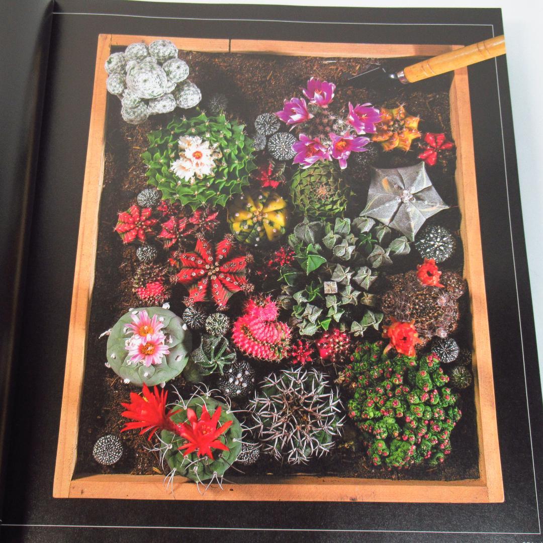 ひろ様専用 サボテン全書 All about CACTUS 【貴重本 初版】 - メルカリ