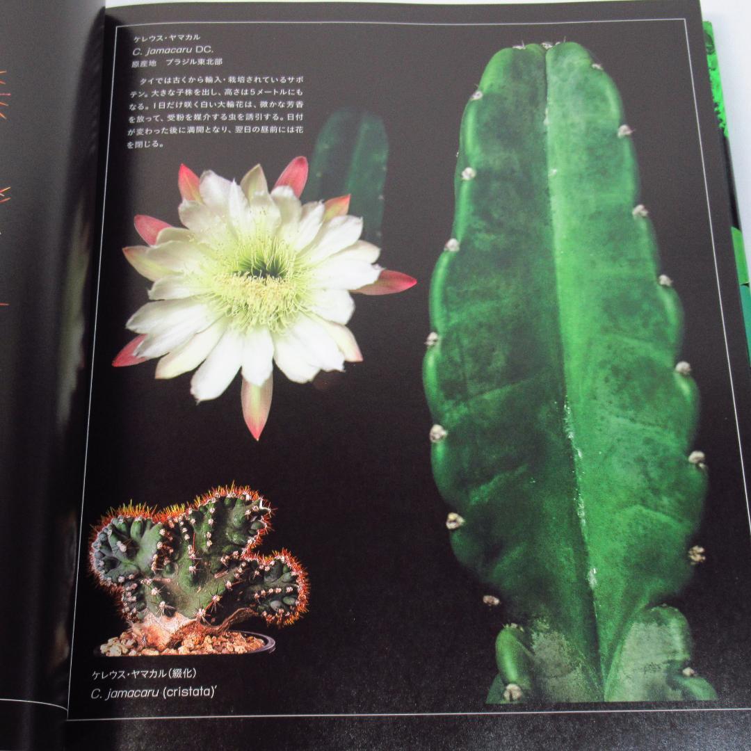 ひろ様専用 サボテン全書 All about CACTUS 【貴重本 初版】 - メルカリ