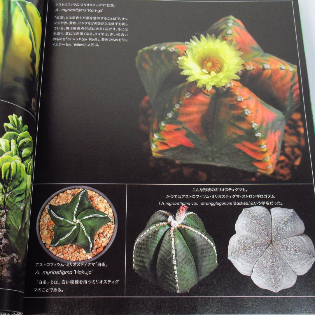 ひろ様専用 サボテン全書 All about CACTUS 【貴重本 初版】 - メルカリ