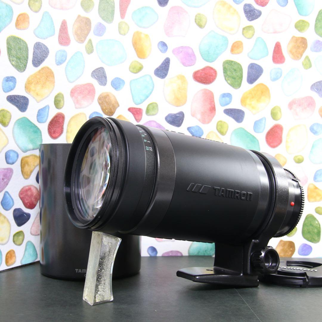 ♥︎◇400mm 望遠レンズ♪ ◇TAMRON 200-400mm SONY - メルカリ