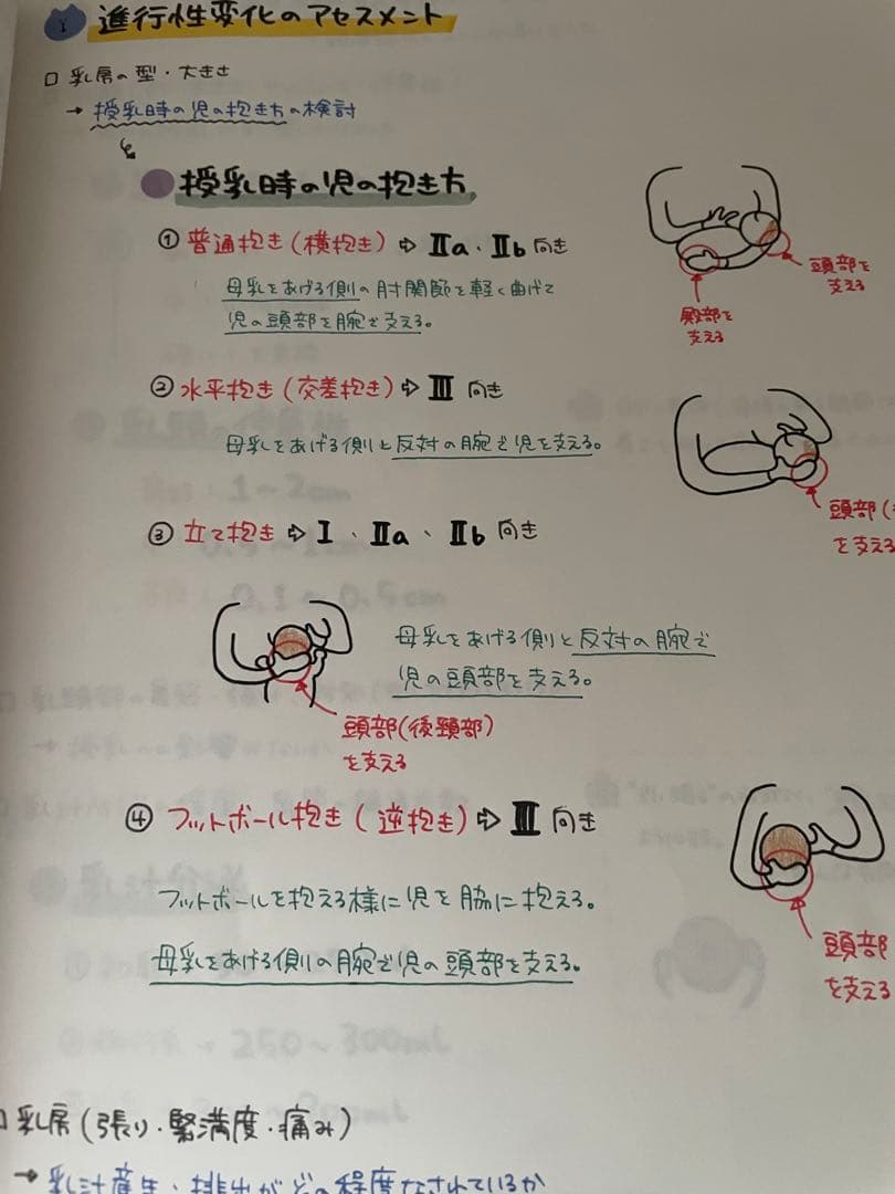 ひろちゃん様 専用ページ 産科勉強セット