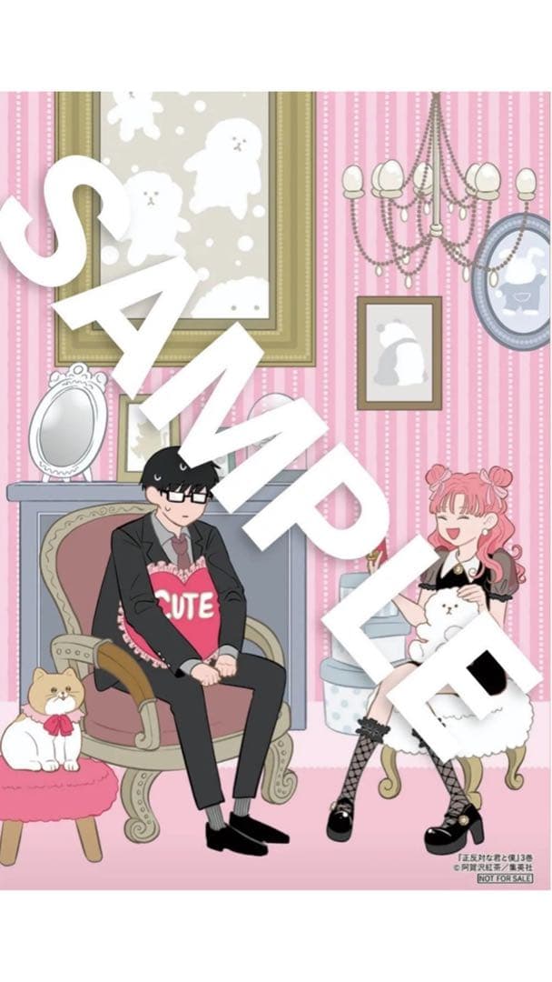 特典 初版 3巻 正反対な君と僕 阿賀沢紅茶 comic zin イラストカード