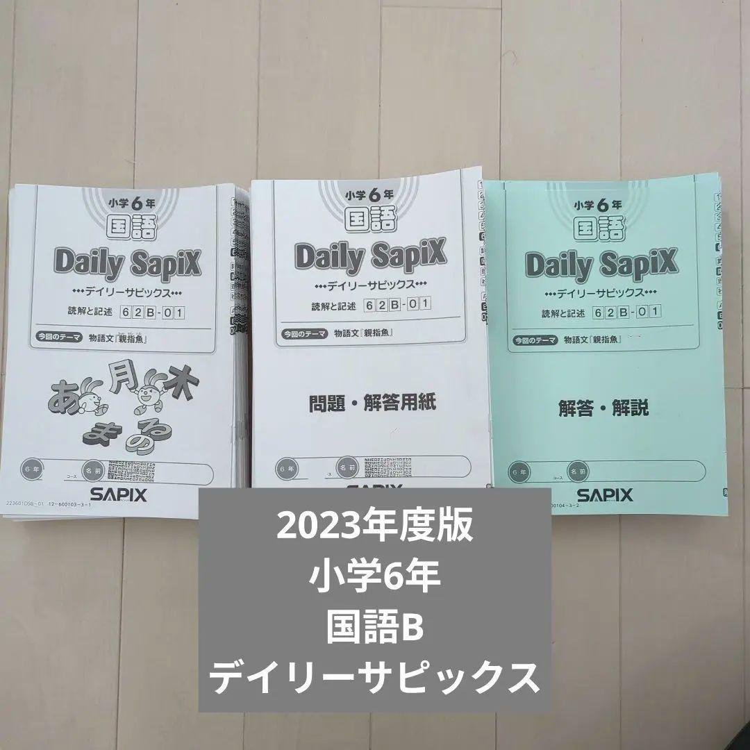 2023年度 小学6年 国語 Daily SapiX 国語B サピックス 2023年度 小学6年 国語 Daily SapiX 国語B サピックス SAPIX ♪大人気