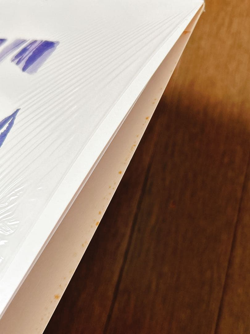 mei ehara / Sway アナログ LP レコード カクバリズム - メルカリ