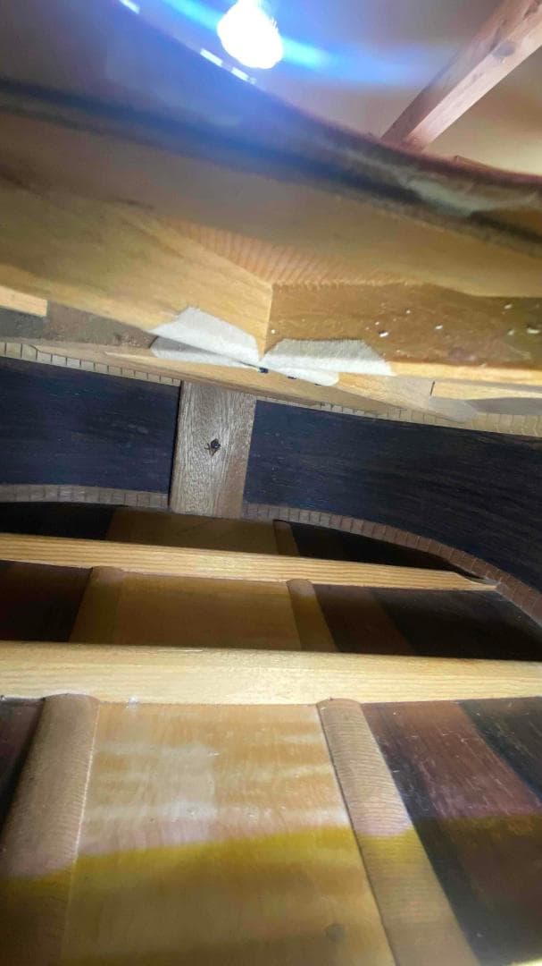 勇*悟様 値下げ希少❣人気種 1973年morris W-40 ハカランダ！HC - メルカリ