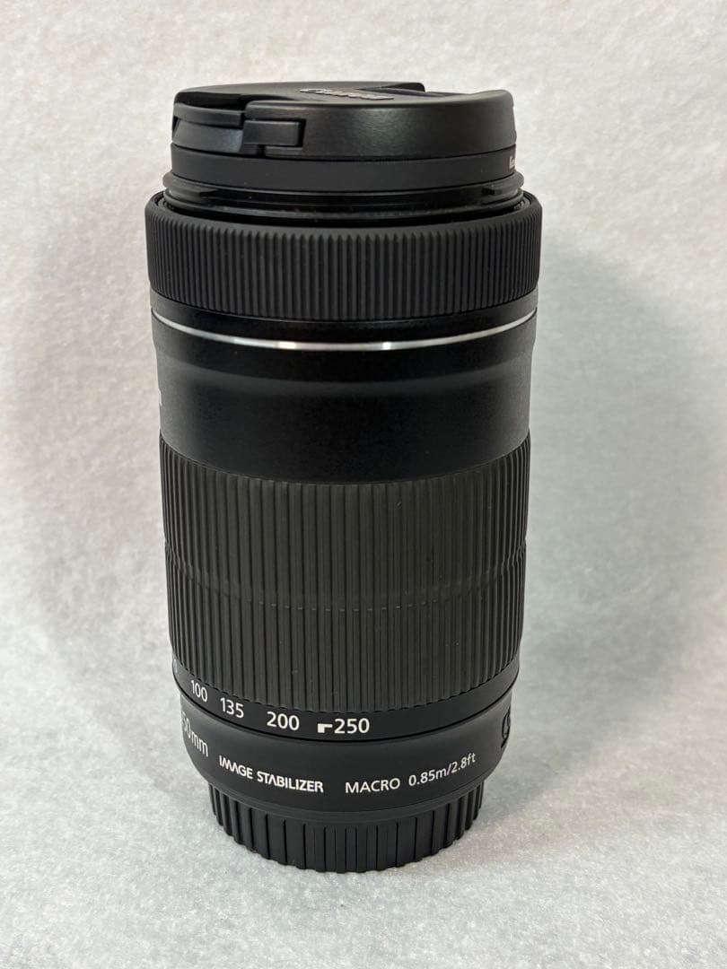 Canon EF-S 55-250mm f/4-5.6 IS STM 美品