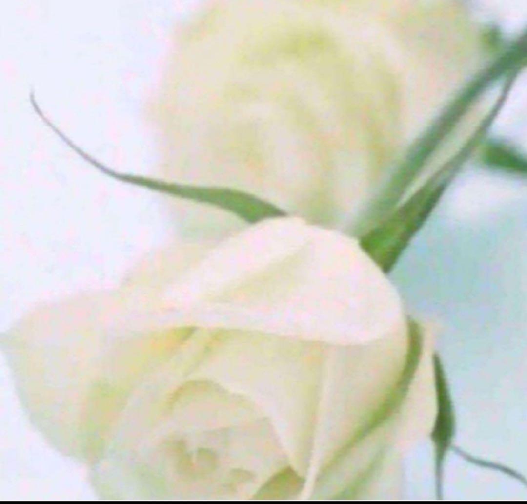 しょーんくん S スリクソン（SRIXON）（メンズ）ZXi7 ゼットエックスアイ アイアン(SW