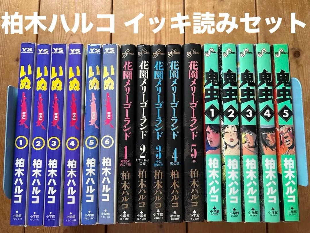 柏木ハルコ 一気読み‼︎ 3作品16冊まとめ売り 柏木ハルコの本おすすめランキング一覧｜作品別の感想・レビュー