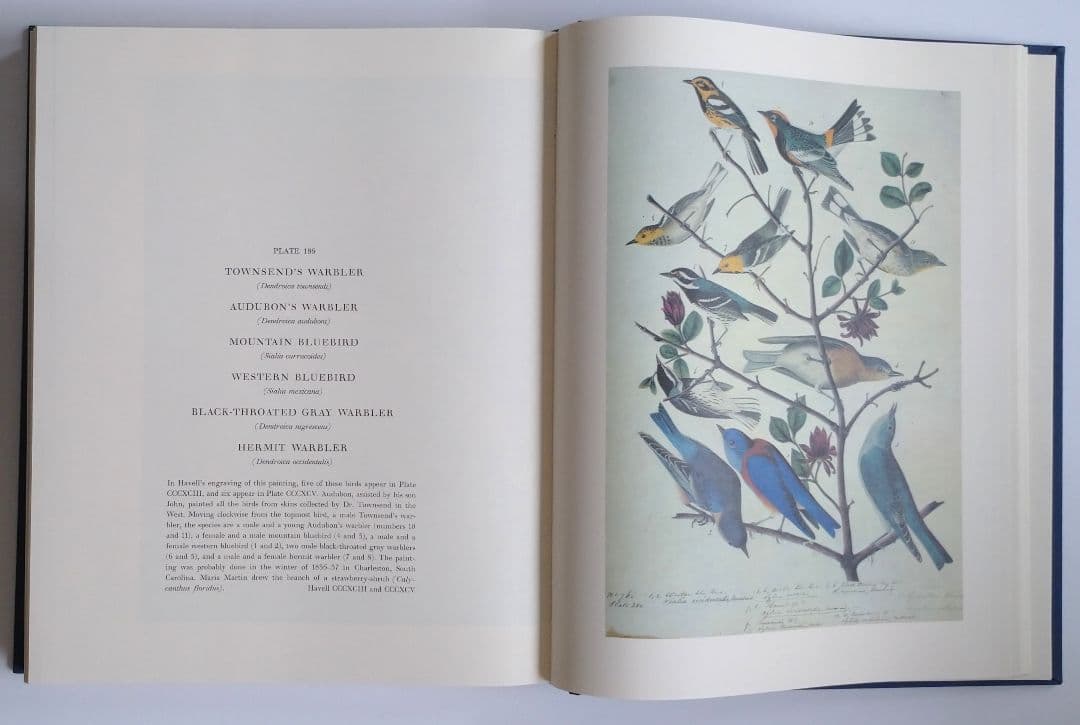 洋書】「オーデュボンによるアメリカの鳥類のための水彩原画集」函入り2巻