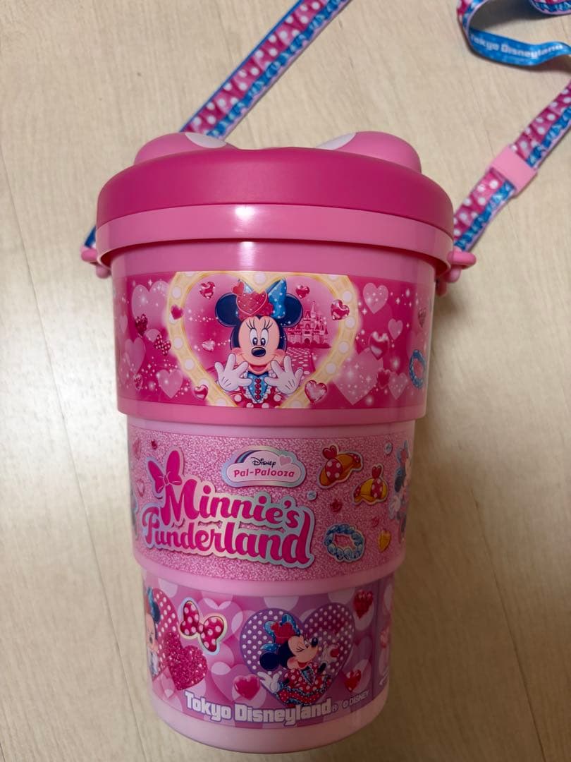 ディズニーパルパルーザ ミニーファンダーランド ポップコーンバケット