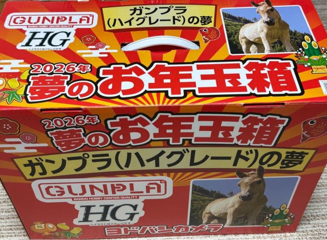 夢のお年玉箱 ガンプラHGの夢 ヨドバシ