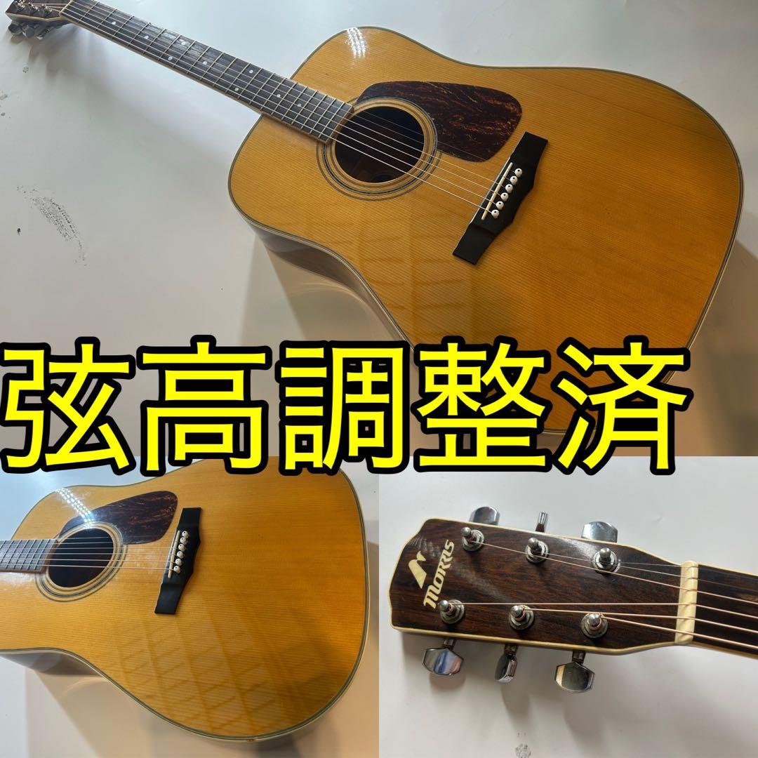 Morris m-501 アコースティックギター M-501 | 生産完了品 | MORRIS GUITARS モーリスギター