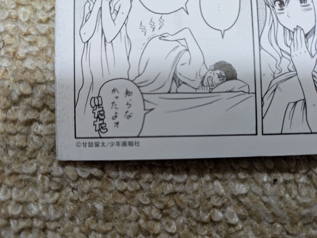 三十路おとめとモテはたち　とらのあな購入特典 4Pリーフレット