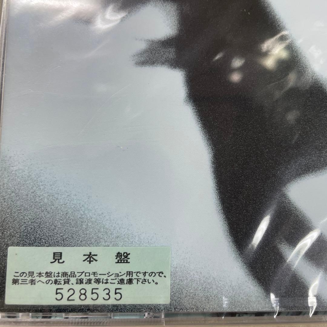 SECRET CRUISE 渡辺淳 新品CD