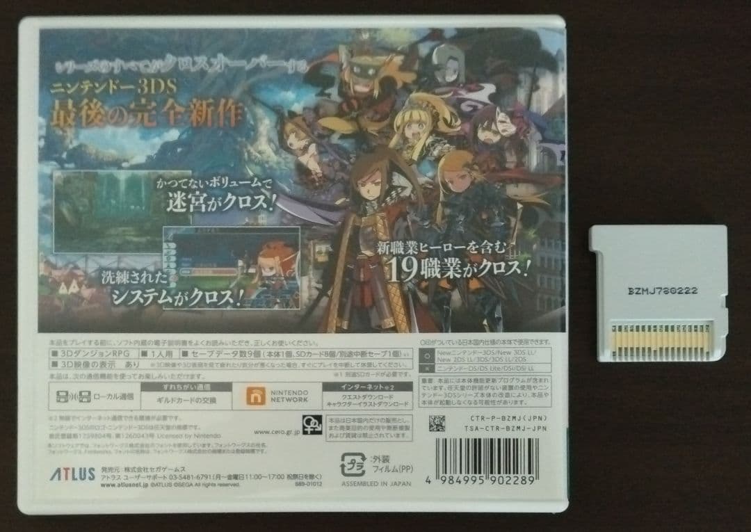 3DS 世界樹の迷宮X DLC報酬セーブデータあり - メルカリ