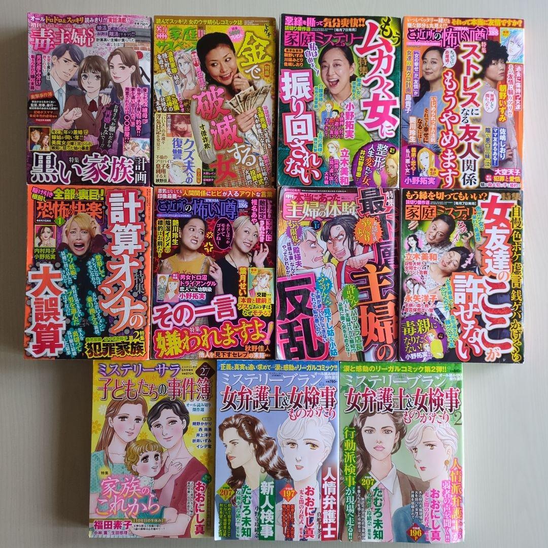 レディースコミック レディコミ 11冊セット - メルカリ