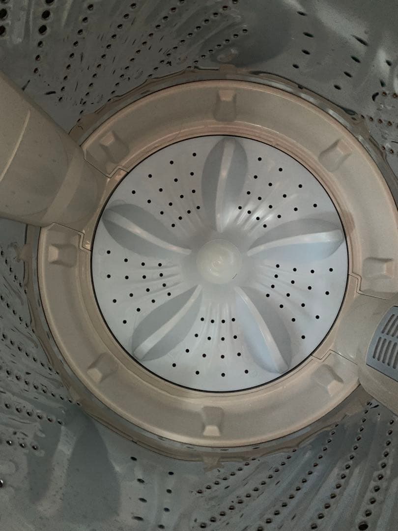 【現地渡し限定】5.5kg 全自動洗濯機 ハイセンス　HW-55E2W