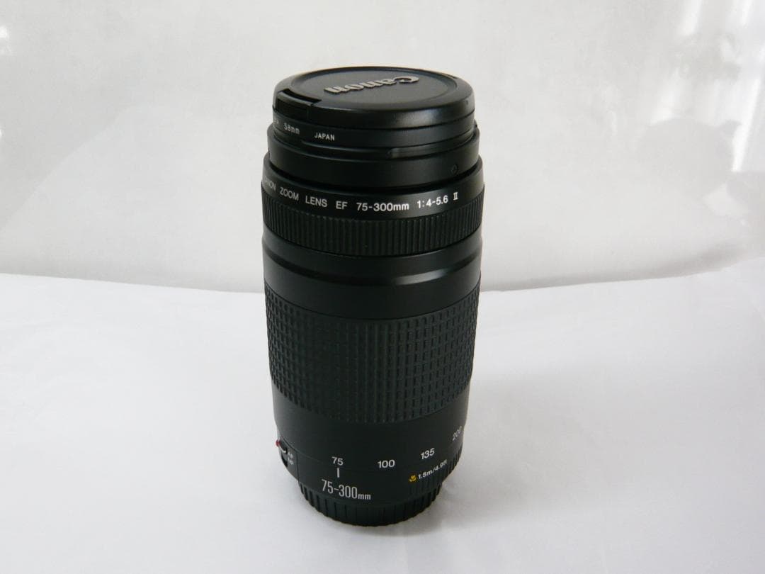 キャノン EF 75-300mm 1:4-5.6Ⅱ F4-5.6 II レンズ EF75-300mm f/4-5.6 II - Canon Camera Museum