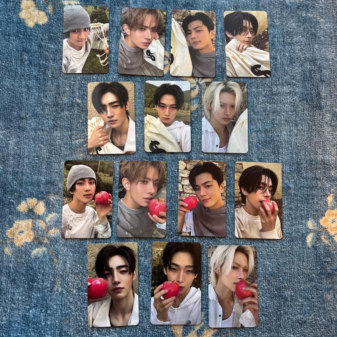 ENHYPEN THE SIN : VANISH トレカ14枚セット - メルカリ