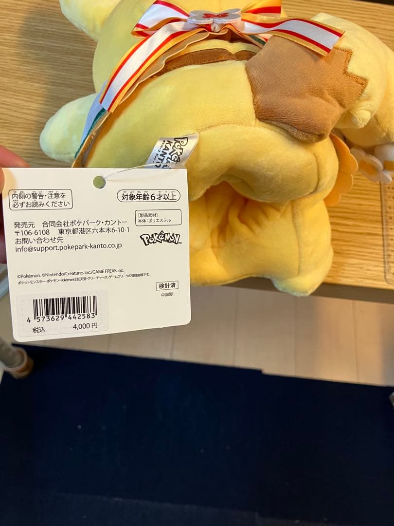 ポケパークカントー限定 ピカチュウ帽子あり ぬいぐるみパペット