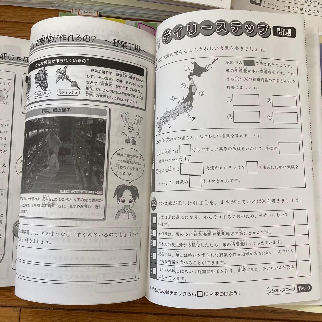 2024年度卒】SAPIX 4年 社会 通常授業・春夏冬講習フルセット【欠有