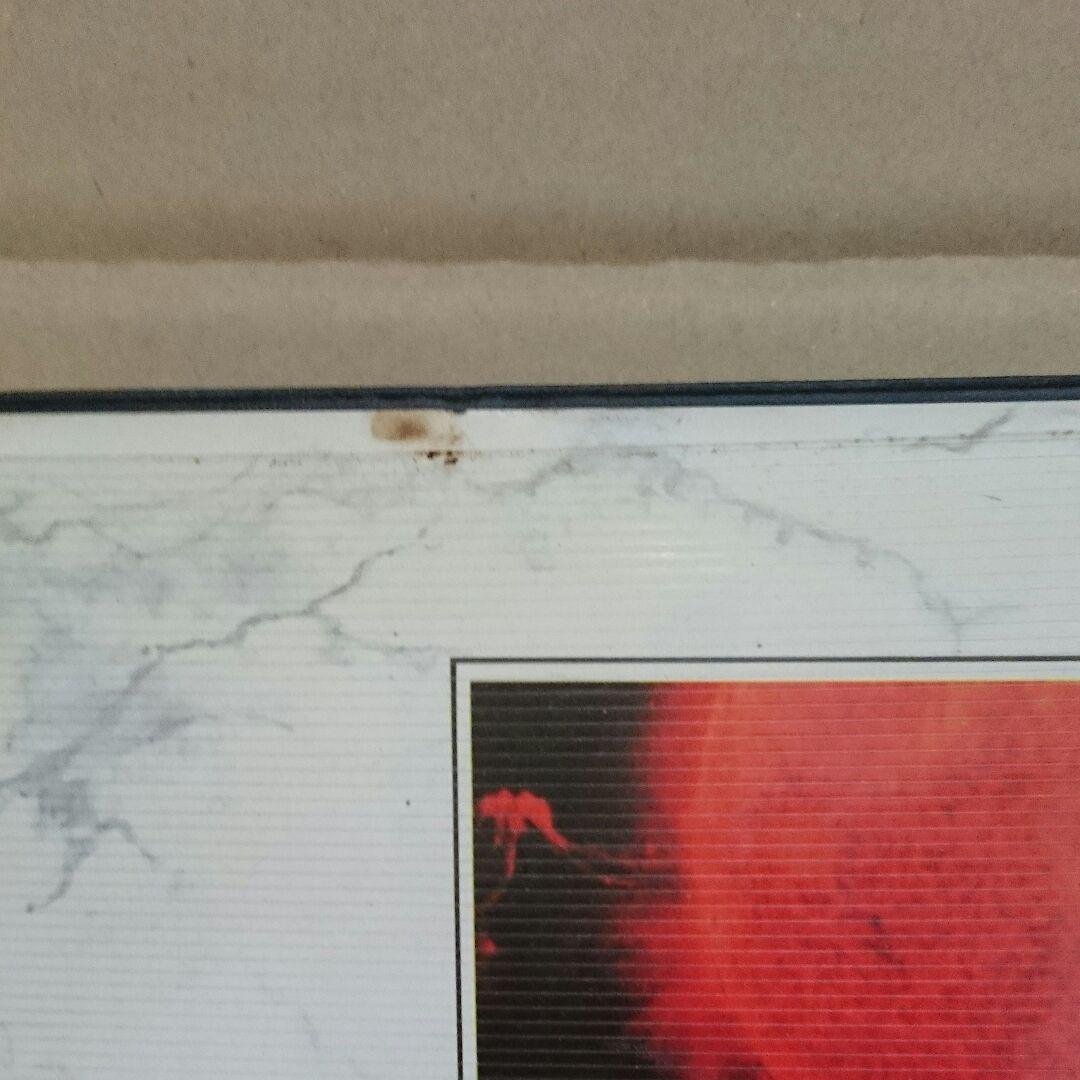 PC－9801用 シュヴァルツシルト 5”2HD C99473763