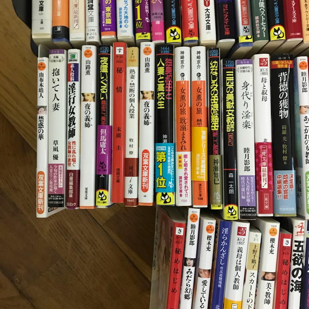 官能小説まとめ売り⑧ 66冊　フランス書院その他あり